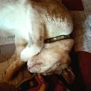 raulitop0161_67296 avatar