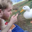 benjamingogoose