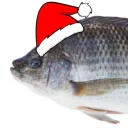 fishman45