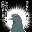 鳩ポッポ