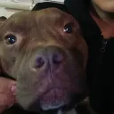 alexander321345 avatar