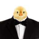 avatar Bart Akkermans