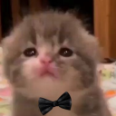 avatar Bart Akkermans