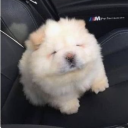 avatar Bart Akkermans