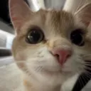 imonjupiterexploring avatar