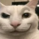 papu_misterioso0802 avatar