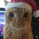 osxmascarz