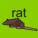 floralrat
