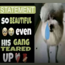 avatar hi i’m caitlyn