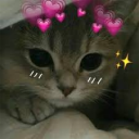 Discord Avatar