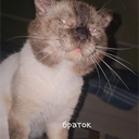 Discord-аватар SkyBound