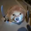 martenocular