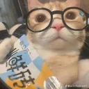 katoru1_29899 avatar