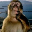 phamphuc01677 avatar