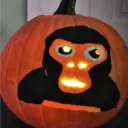 zoverlul