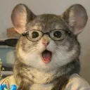 siraaaaaaaaaaaaa