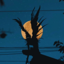 needlesandpins22#0 avatar