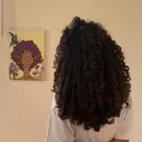 dfjt