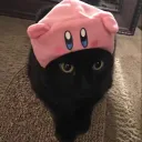 samotspam