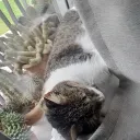 simonxd0087_51389 avatar