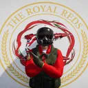 palmerlhfc
