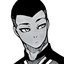 kyoterier