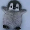 _ima.little.penguin_ avatar