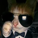real_mango__