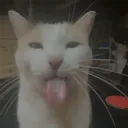 xjahu