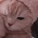 habibicpu_64743 avatar