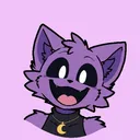 thewishnapper