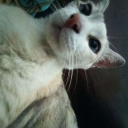 avatar Up your wascrow