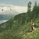 ultimate_gorilla