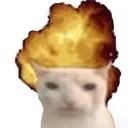 meowcatmimi