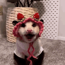 opossumproblems