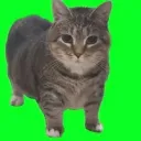 super_spinny