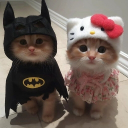 avatar 𝙯𝙚𝙩𝙖