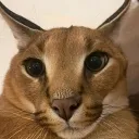 Аватар iwannabeivaa