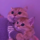 avatar 𝔑𝔞𝔱𝔞𝔩𝔦𝔞