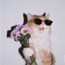 avatar 𝔑𝔞𝔱𝔞𝔩𝔦𝔞