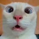 eowicked