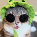 glitcheddakittycat1