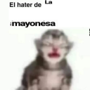 avatar ミ★𝙕𝙤𝙚★彡