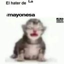 avatar hate de la mayonesa