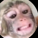 avatar Chicken Gibba