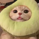 wout_123456789