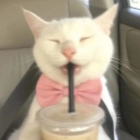 avatar 月亮 ˚ʚ♡ɞ˚