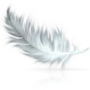 washi_dev