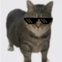 __elsamurai__ avatar