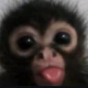 https://cdn.discordapp.com/avatars/1361442004734709963/ea278316d3c804b99aaaef13b33f4d8f.jpg?size=128